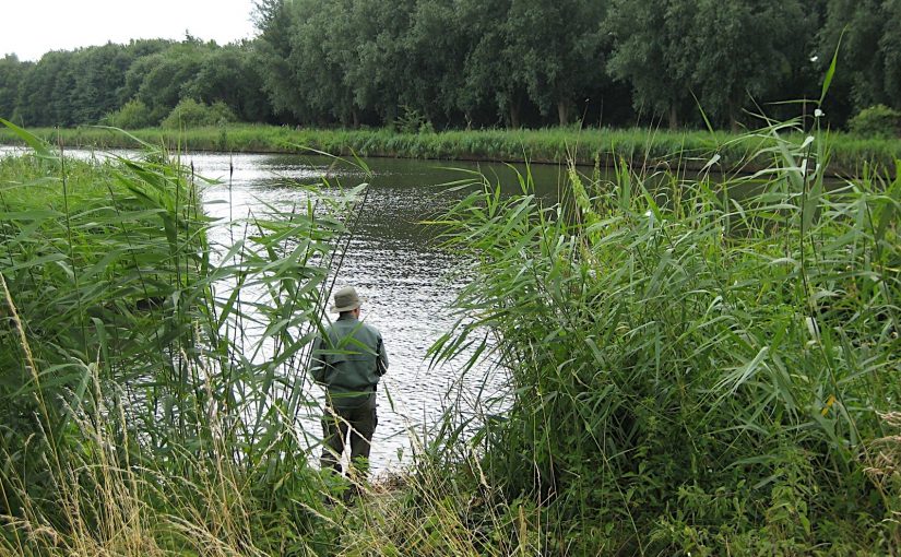 Fishing and bushcraft in the Flevopolder